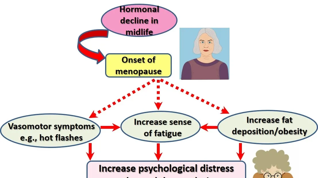 Understanding Menopause: The Role of Stress, Lifestyle, and Gut Microbiota
