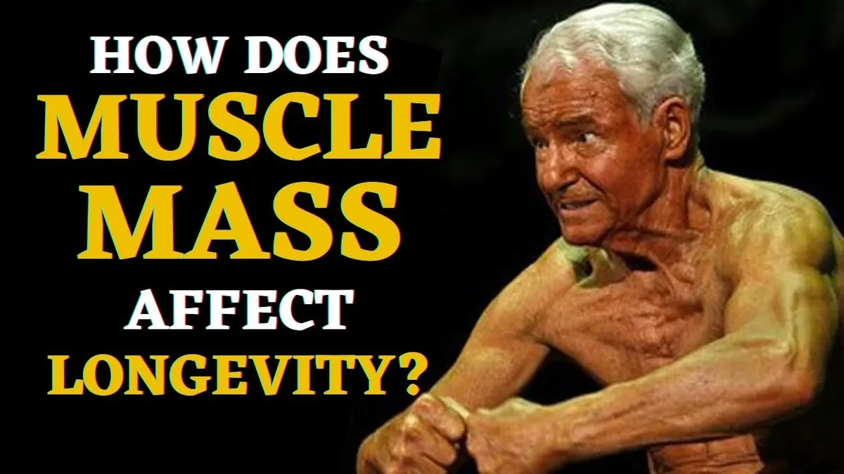 Building Longevity through Exercise: A Muscle-Building Perspective