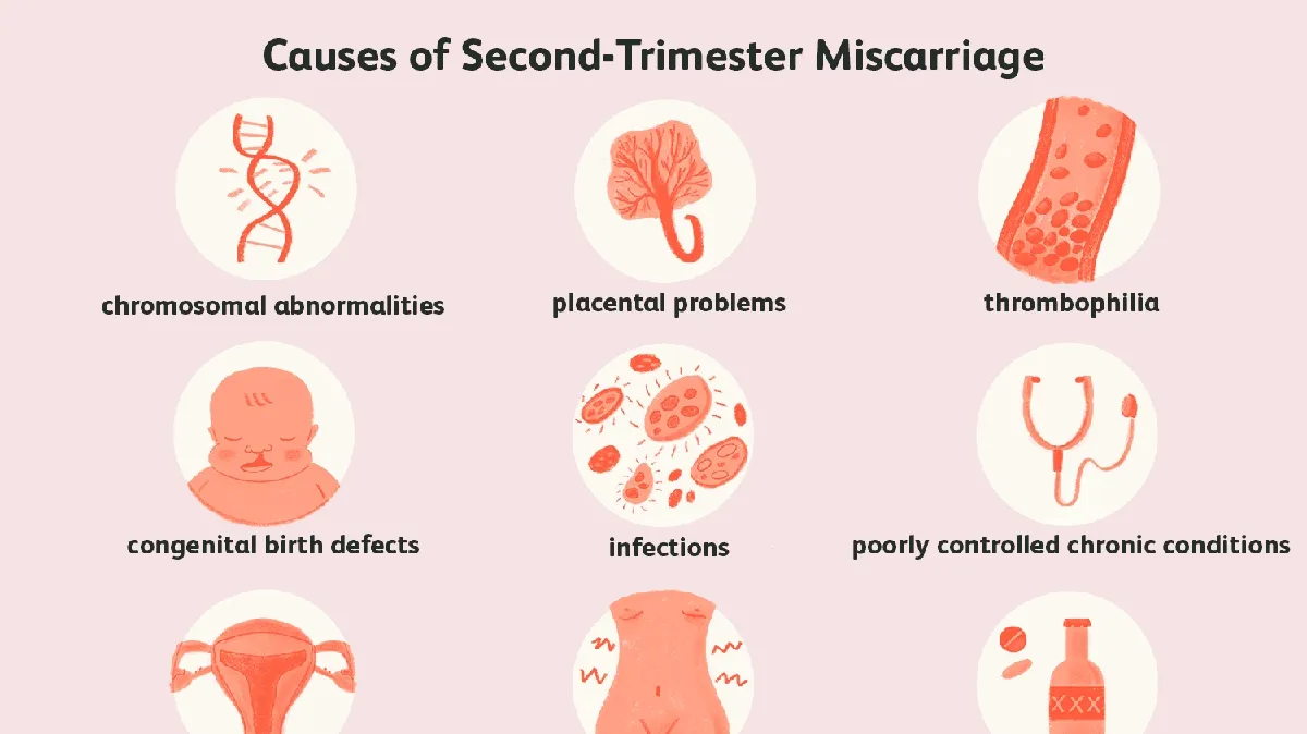 Understanding Early Miscarriages: Abnormal Chromosomes as the Main Culprit