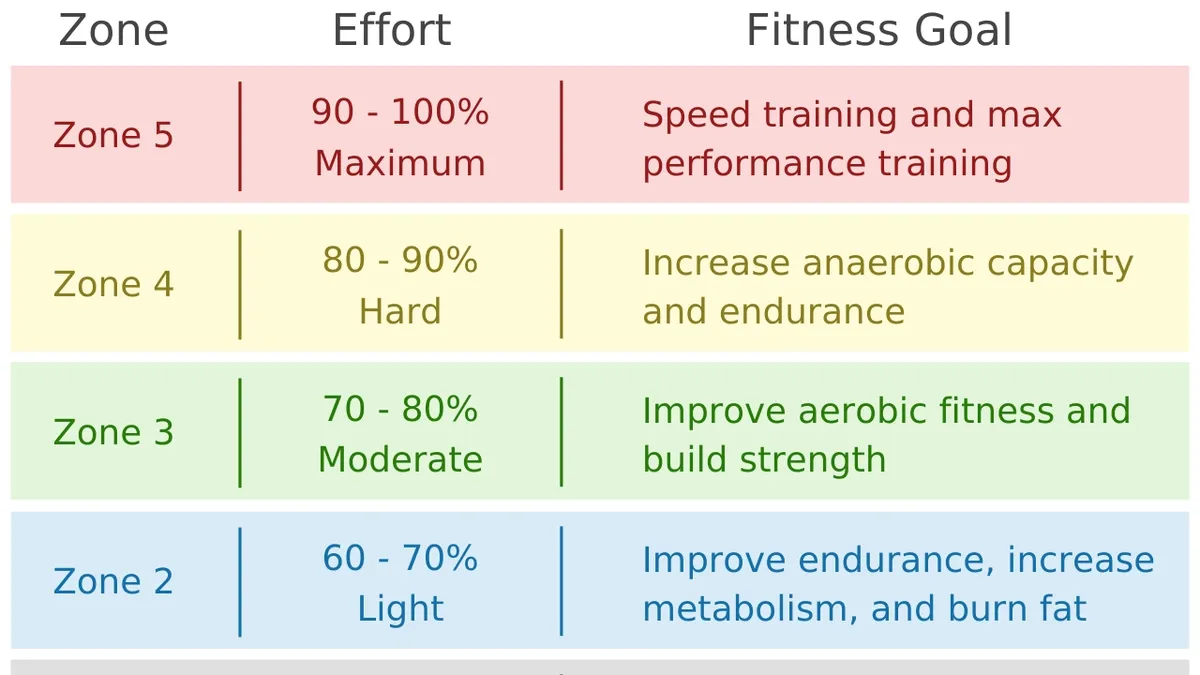 Understanding and Utilizing Heart Rate Zones for Optimal Cardiovascular Fitness