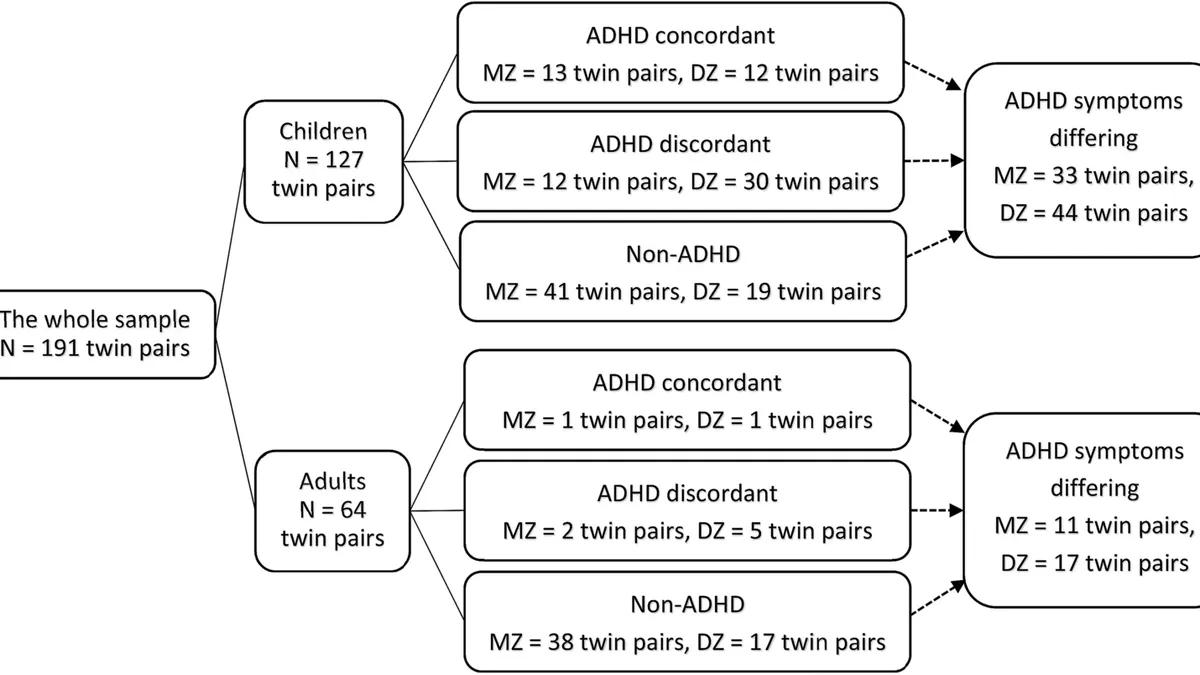 Understanding the Link Between ADHD and Physical Health Problems: A Comprehensive Review