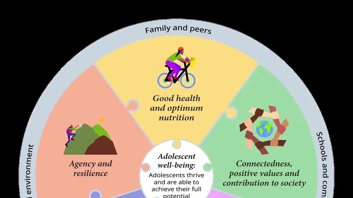 Understanding and Addressing Adolescent Health and Well-being: A Growing Need