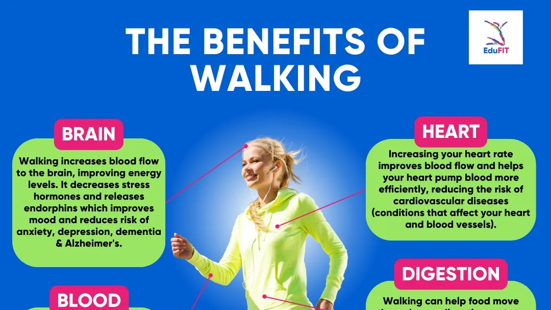 Unleashing the Power of Walking: An Insight into Its Health Benefits