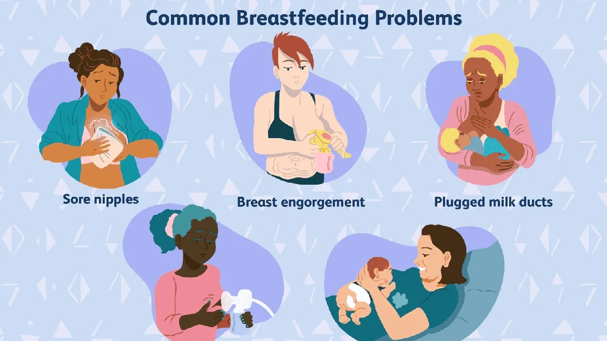 Addressing Breastfeeding Challenges in California: Insights and Recommendations