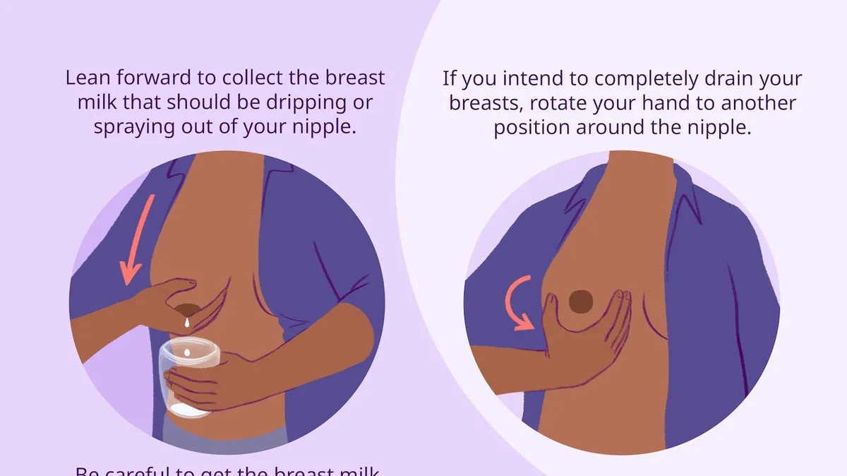 The Comprehensive Guide to Hand Expressing Breast Milk