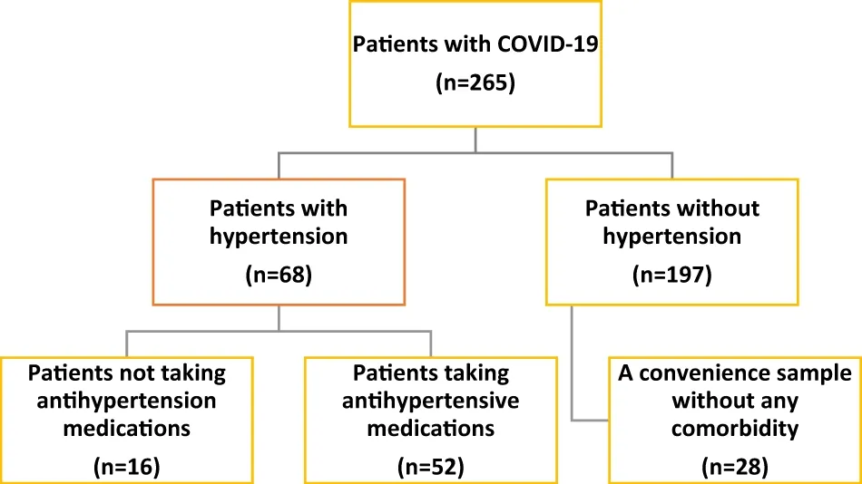 Understanding the Complex Relationship between Hypertension, Antihypertensive Treatment, and COVID-19