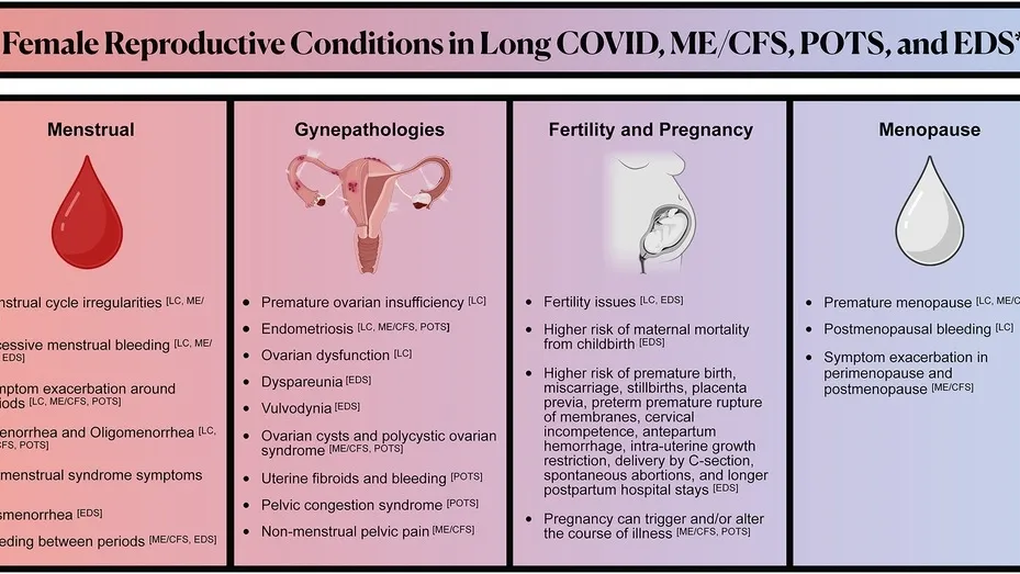 Long COVID and its Impact on Women’s Reproductive and Sexual Health: Unveiling the Disparity