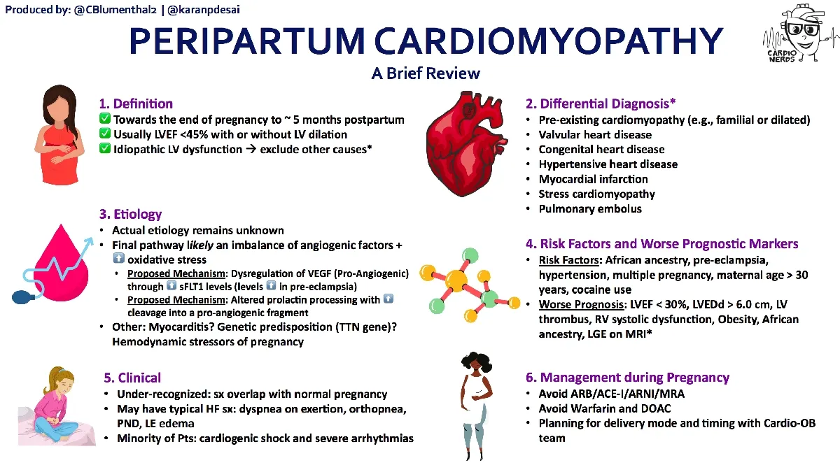 Understanding Peripartum Cardiomyopathy: Insights from Dr. Zoltan Arany’s Review