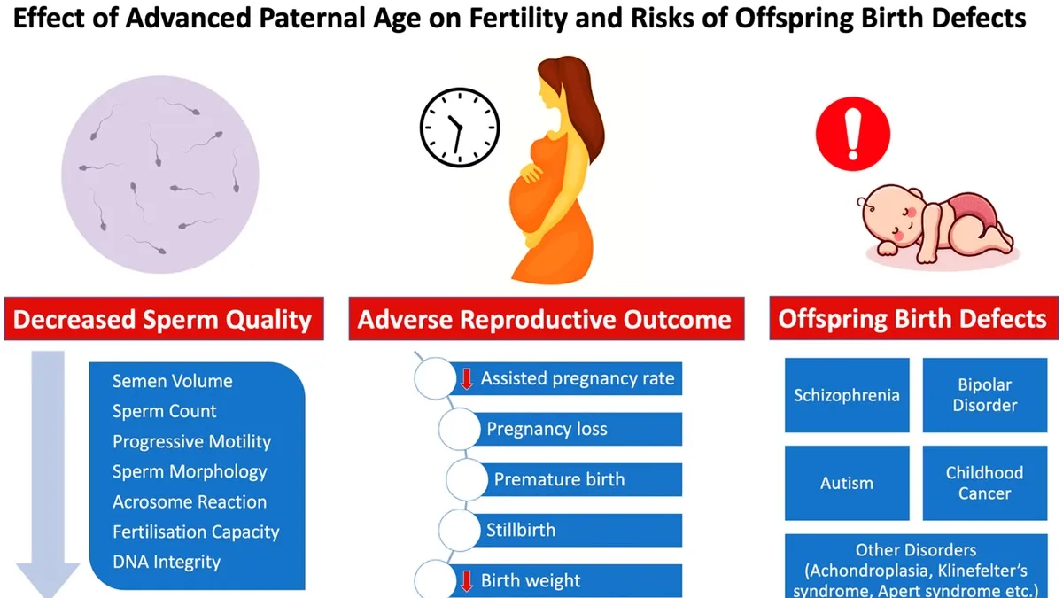 Understanding the Impact of Aging Sperm on Offspring Development
