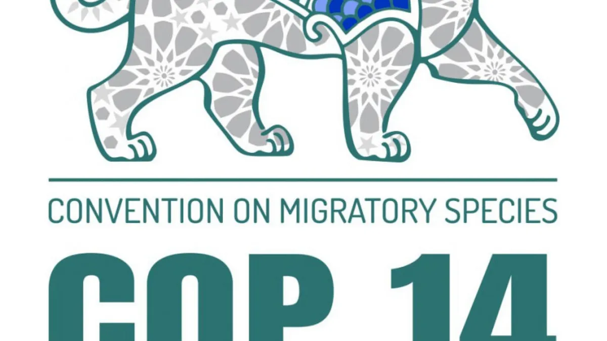 The Critical State of Migratory Species amid Planetary Crises: Insights from CMS COP14