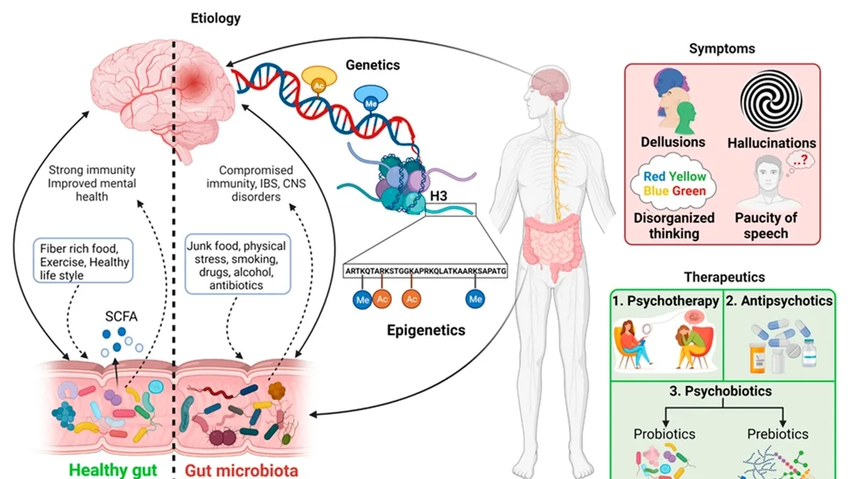 The Gut Microbiome and Treatment-Resistant Schizophrenia: A New Perspective
