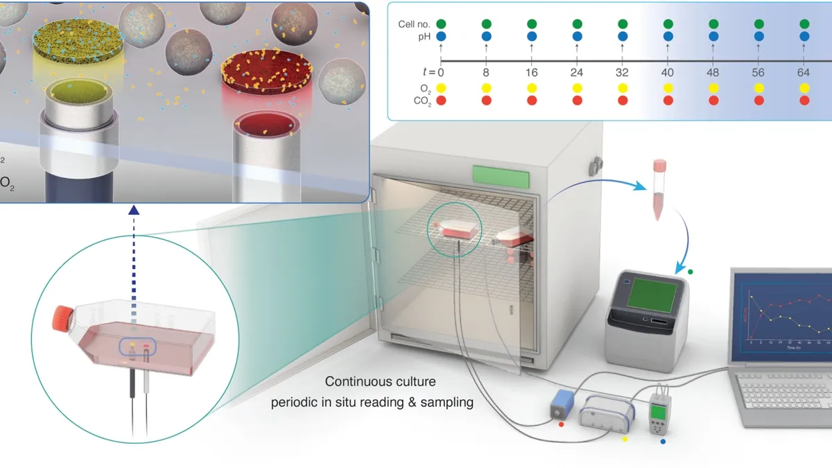 Revolutionizing Personalized Medicine: A New All-in-One Sensor System for Monitoring Stem Cell Cultures