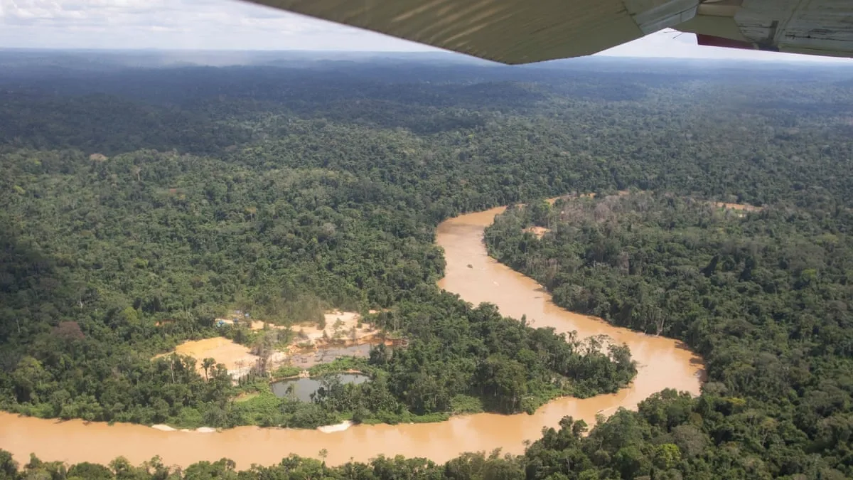 Imminent Tipping Point for the Amazon Rainforest: Alarming Implications for Biodiversity and Climate Stability