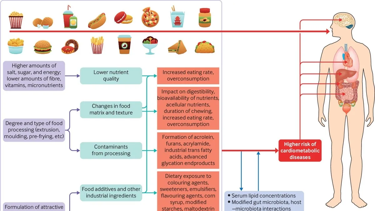 Navigating the Health Risks of Ultra-Processed Foods: A Comprehensive Guide