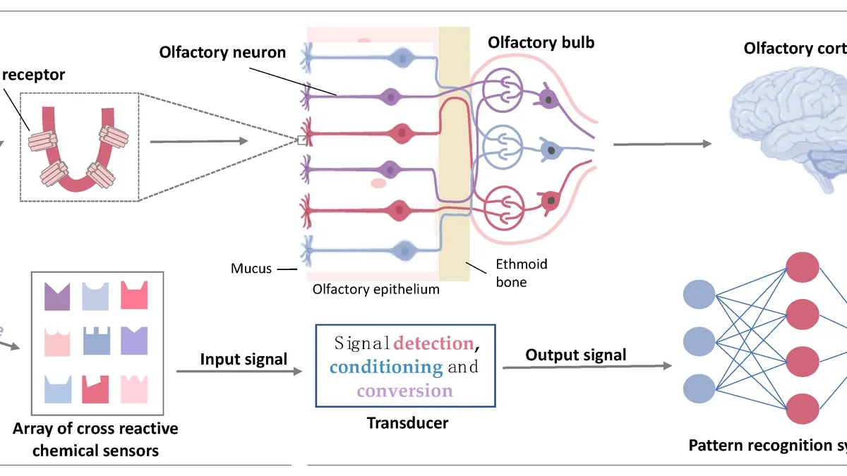 Artificial Olfactory System: The Future of Gas Analysis and Odor Detection