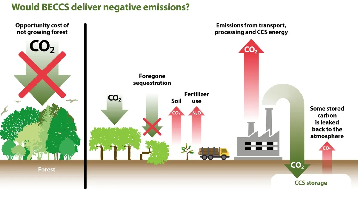 Addressing Climate Change through Bioenergy, Carbon Capture and Dietary Shifts