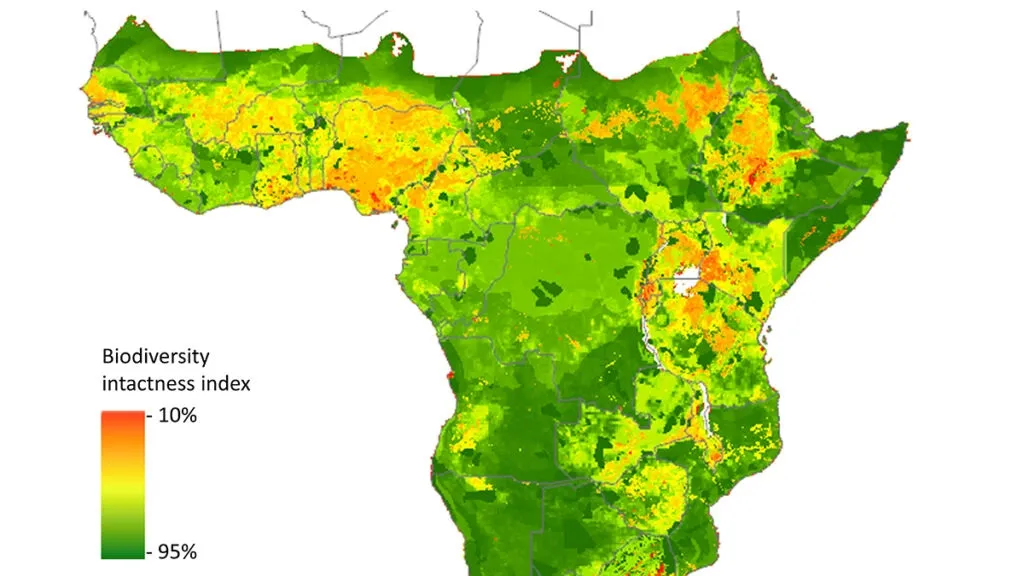 Addressing the Biodiversity Data Gap: A Closer Look at Sub-Saharan Africa’s Ecosystem