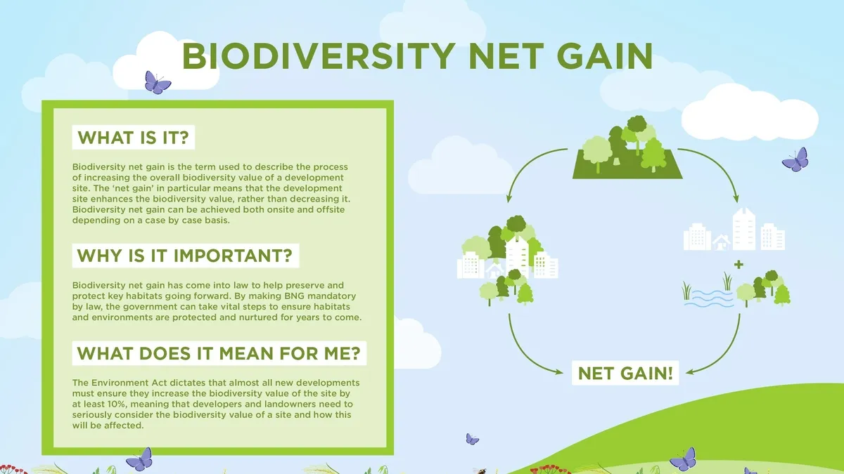 England’s Biodiversity Net Gain: An Ambitious Environmental Policy or Just a Glorified Offsetting Scheme?