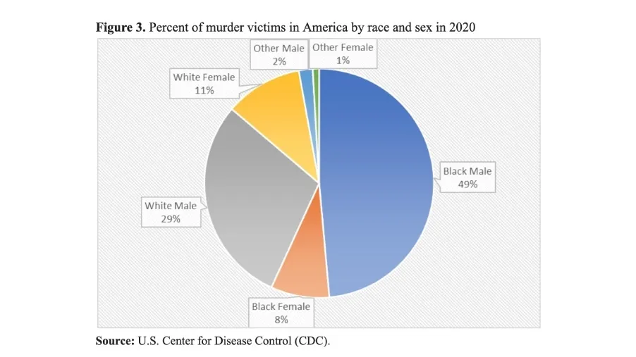 Addressing the Rising Homicide Rates among Black Women: A Call for Structural Changes
