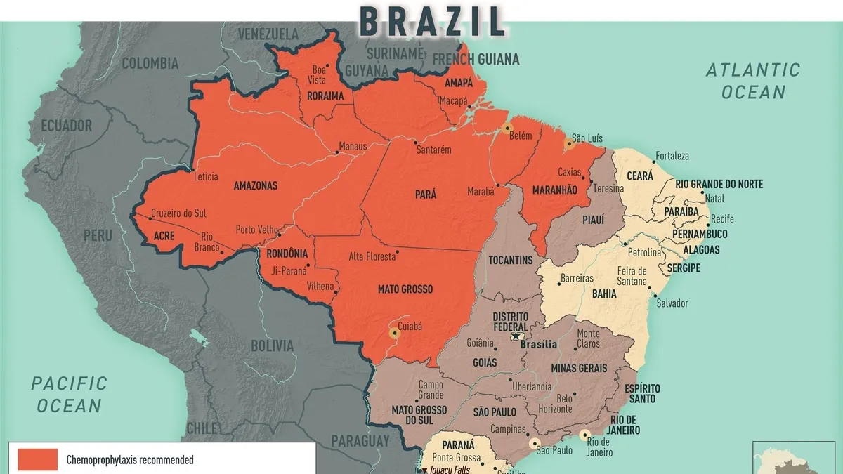 Exploring the Surging Dengue Fever Cases in Brazil: Causes, Effects and What is Being Done
