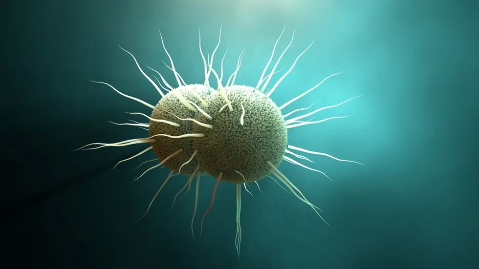 CARB-X Awards $1.8 Million to Visby Medical for Development of Rapid Gonorrhea Diagnostic