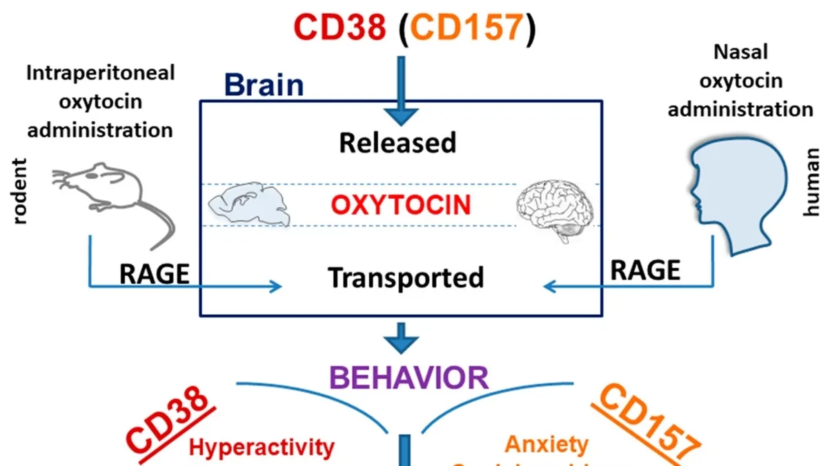 How Genetic Variation in the CD38 Gene Can Influence Emotional Reactions and Social Behavior