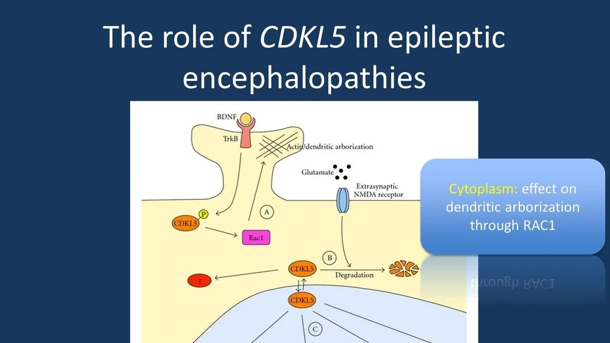 Unlocking New Treatment Potential for CDKL5 Deficiency Disorder