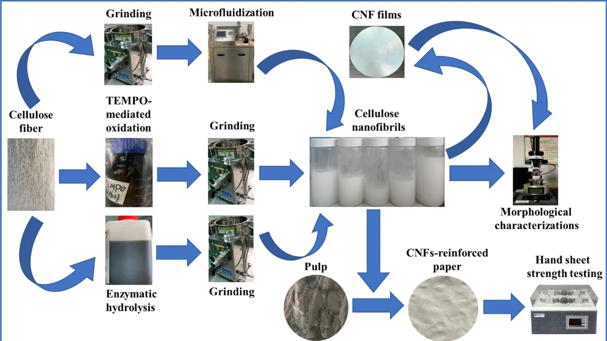 Unlocking the Potential of Carboxylated Cellulose Nanofibres for Sustainable Industry