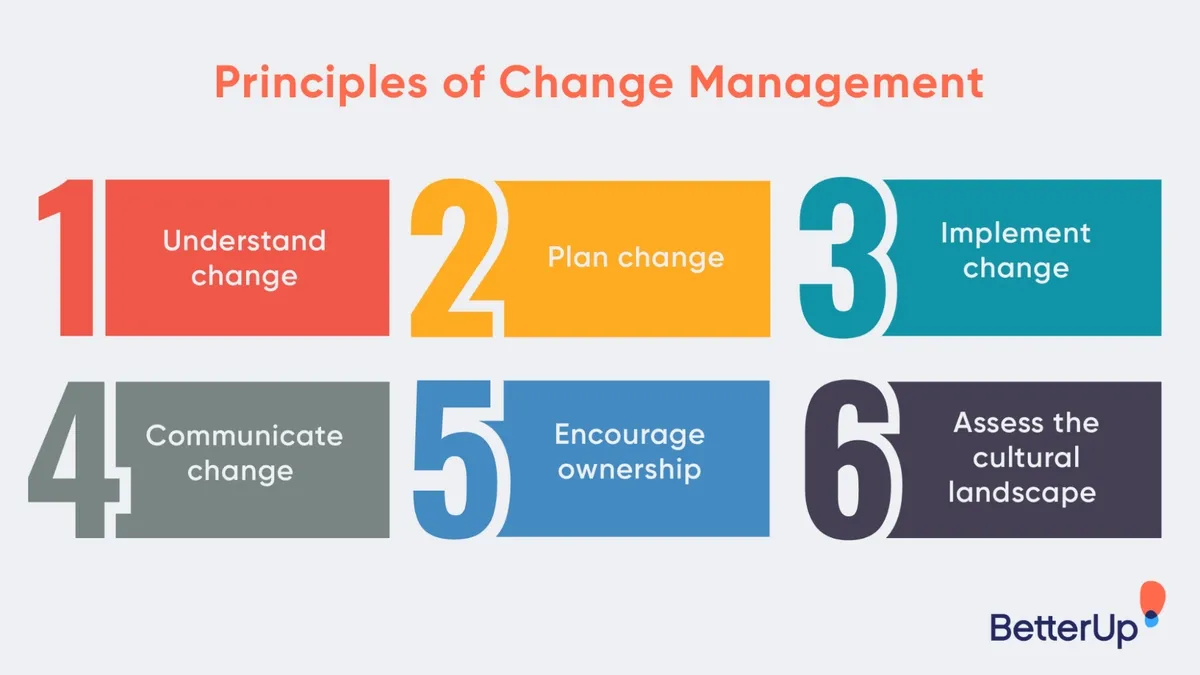 Effective Change Management Practices for Policy-Driven Transitions in Organizations