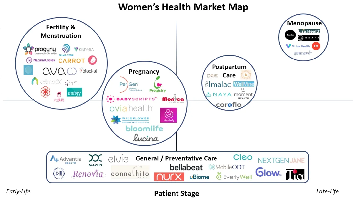 The Intersection of Commercialization and Women’s Health: A Deeper Dive
