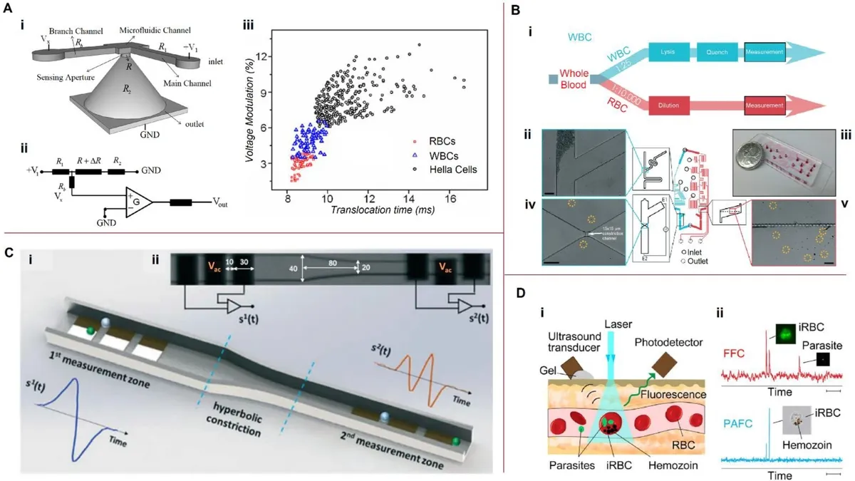 Understanding the Impact of Fluid Shear Stress on Single Cell Behavior via Microfluidic Devices