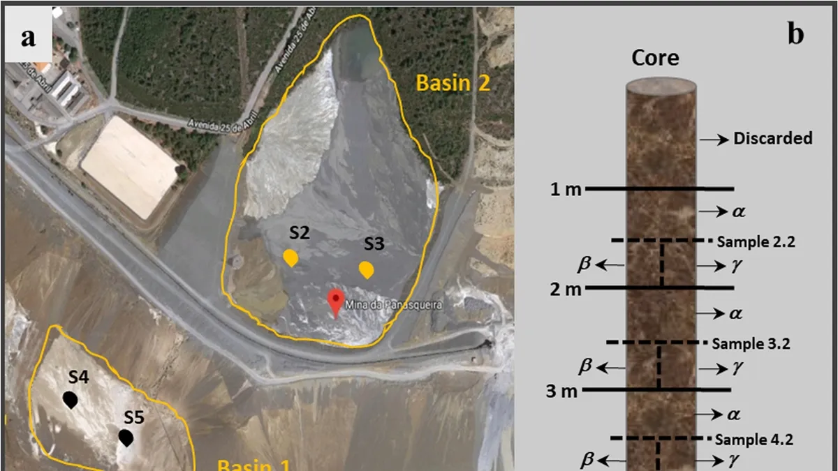 Harnessing Bacterial Diversity in Mining Tailings for Biotechnological Metal Removal Applications