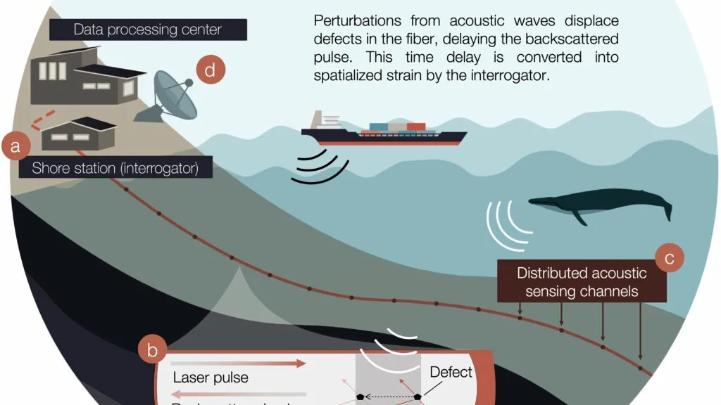 Distributed Acoustic Sensing (DAS): A New Frontier in Understanding Underwater Volcanic Activity