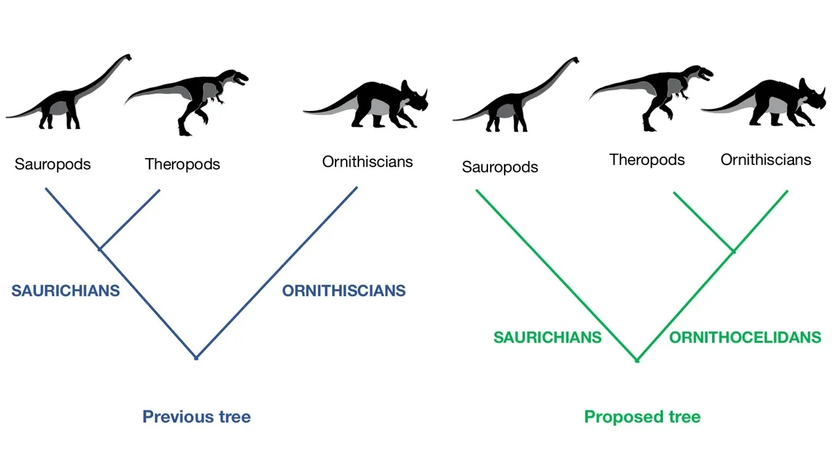 A Call for Diversity and Inclusivity in Dinosaur Naming Conventions