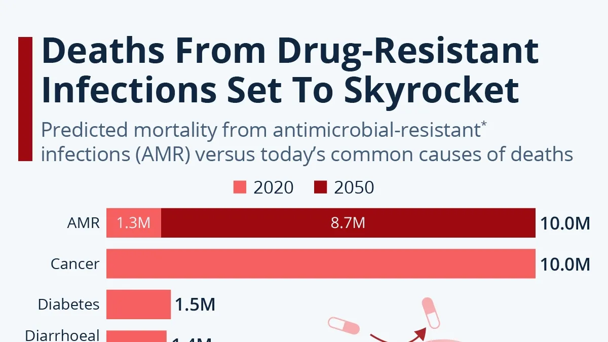 The Battle Against Drug-Resistant Bacteria: New Developments and Hope for the Future