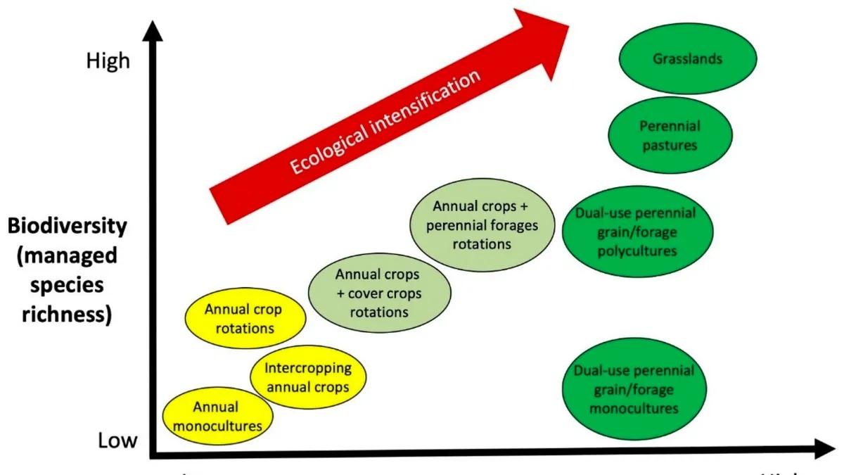 Ecological Intensification in Agriculture: A Pathway to Sustainable Farming Practices