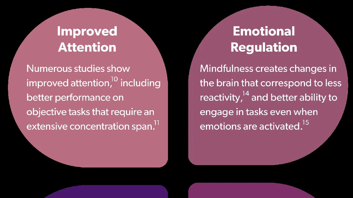 Harnessing the Power of Mindfulness Meditation to Combat Stress and Anxiety
