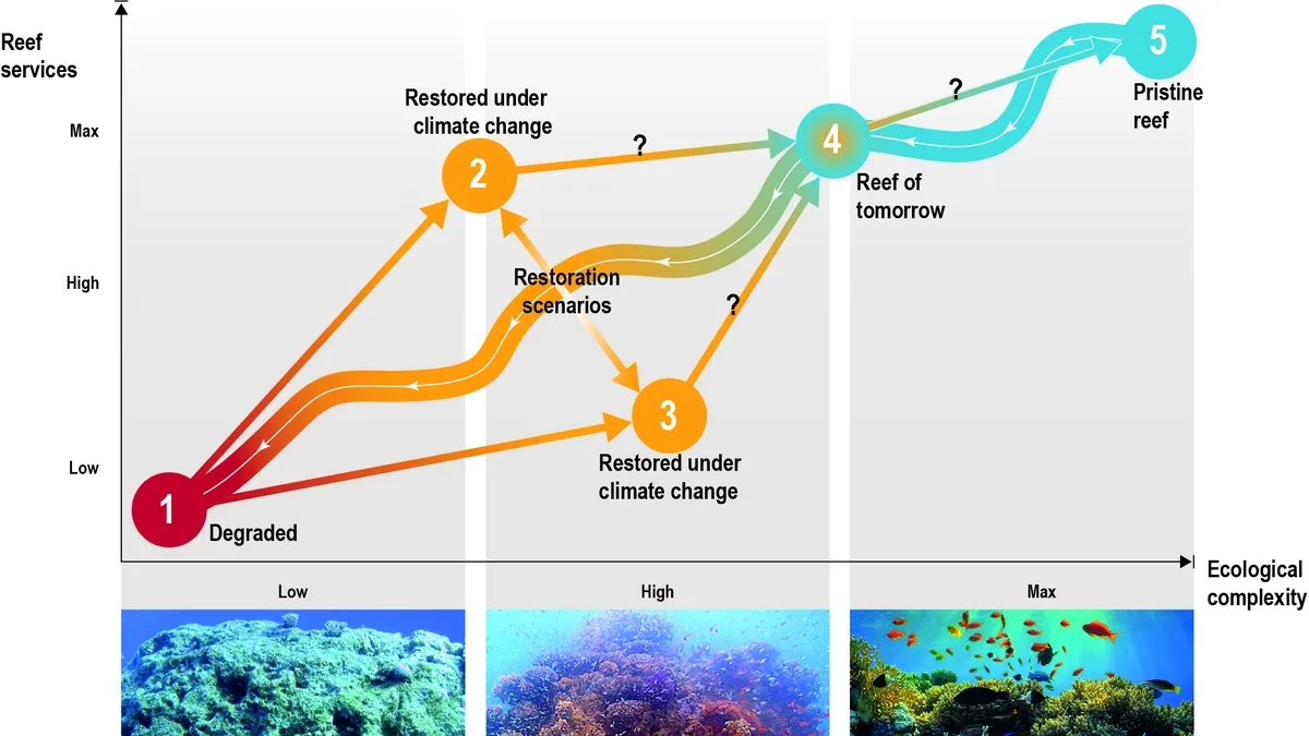 Climate Change and Its Impact on Marine Ecosystems: A Closer Look at Herbivory