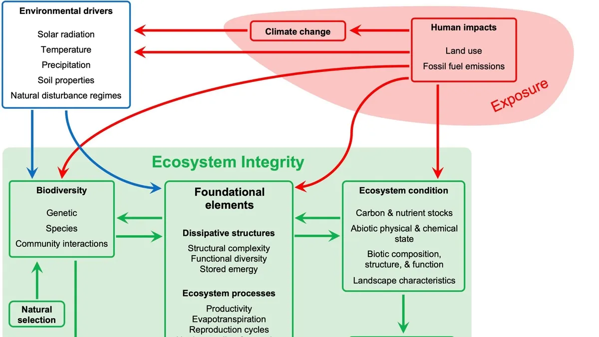 Unraveling the Complexities of Plant Invasions: Impacts on Ecosystems and Human Well-being