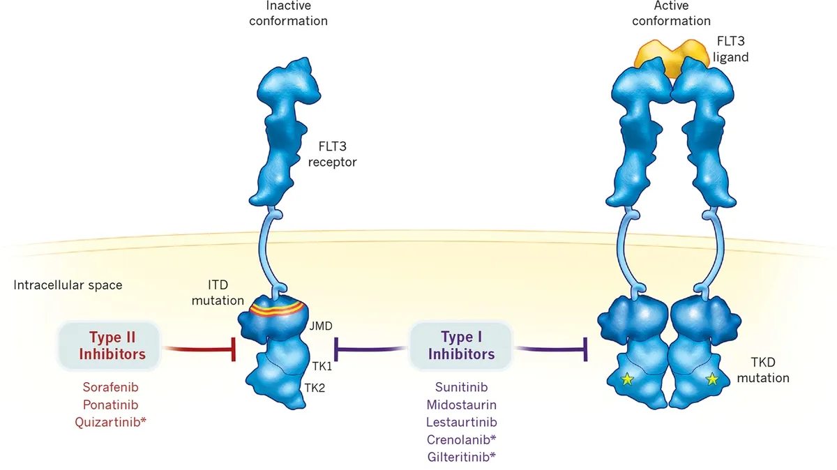 Advancements in FLT3-Mutated Acute Myeloid Leukemia Treatment: The Role of Gilteritinib