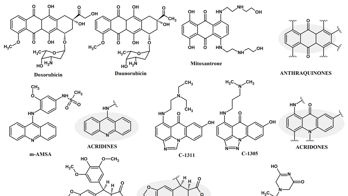 Unlocking the Potential of Fungal Topoisomerases: A New Frontier in Antifungal Drug Development