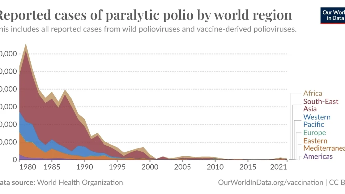 The Global Fight Against Polio: Progress, Challenges and the Road Ahead