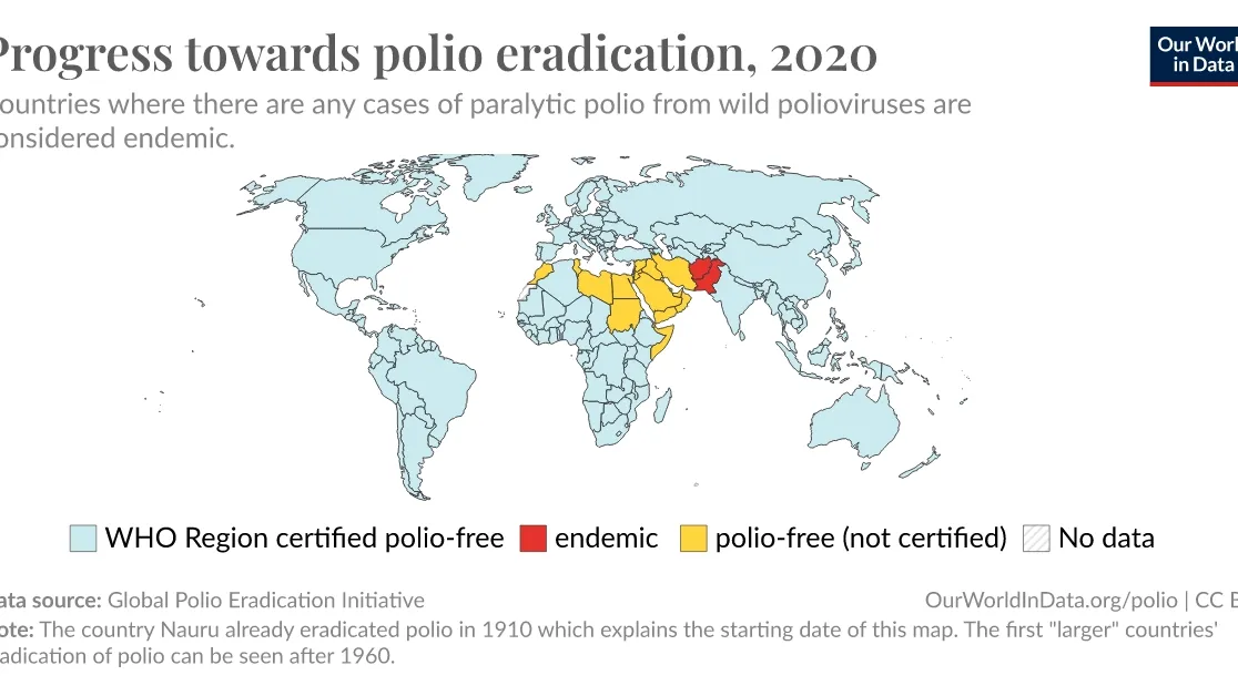 The Global Fight Against Polio: Progress, Challenges, and the Road Ahead
