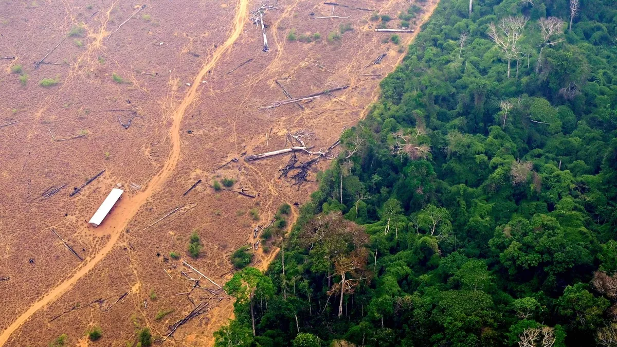 Climate Change and Deforestation: Amazon Forest Nears Critical Tipping Point