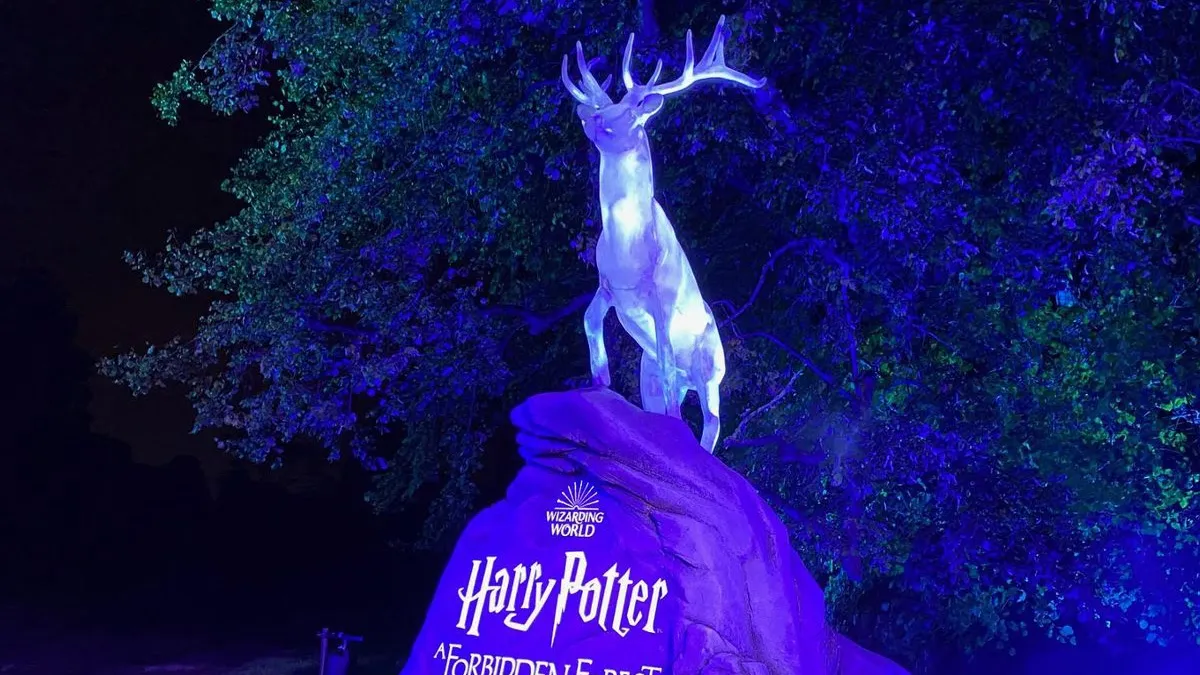 Harry Potter Event’s Potential Impact on Wildlife Raises Concerns