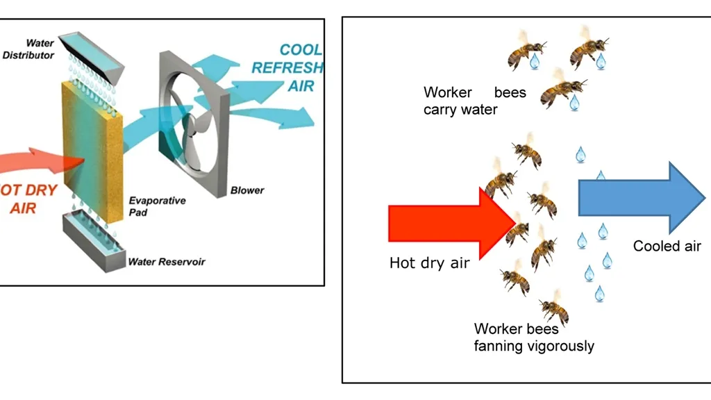 Understanding the Resilience of Honey Bees Amid Rising Temperatures: Insights and Implications