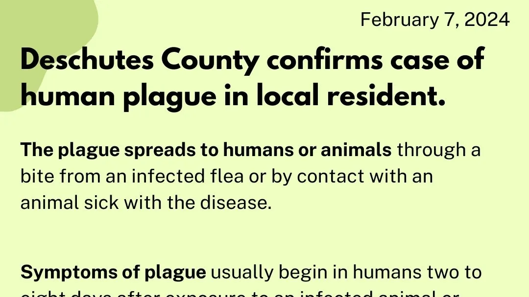 Human Plague Case in Oregon: The Risks and Necessary Precautions