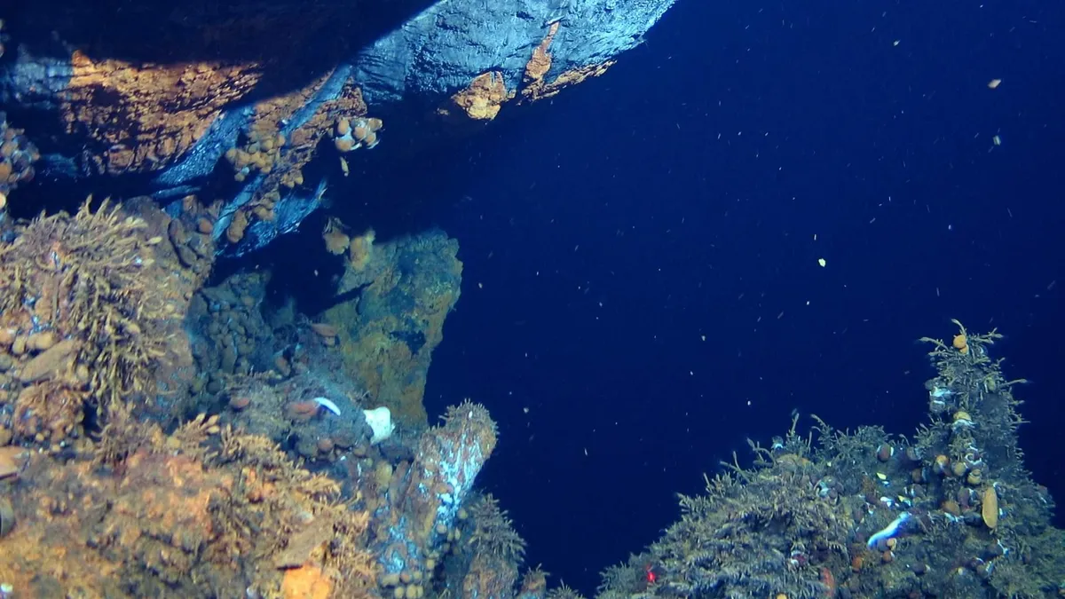 The Significant Role of Inactive Hydrothermal Vents in Deep-Sea Ecosystems and Their Impact on Ocean Biogeochemical Carbon Cycling