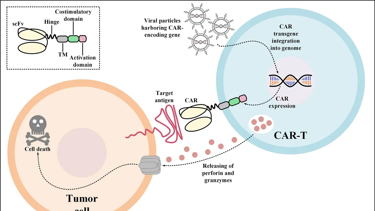 Unleashing the Power of CAR T-Cell Therapy: The Role of Interleukin-24