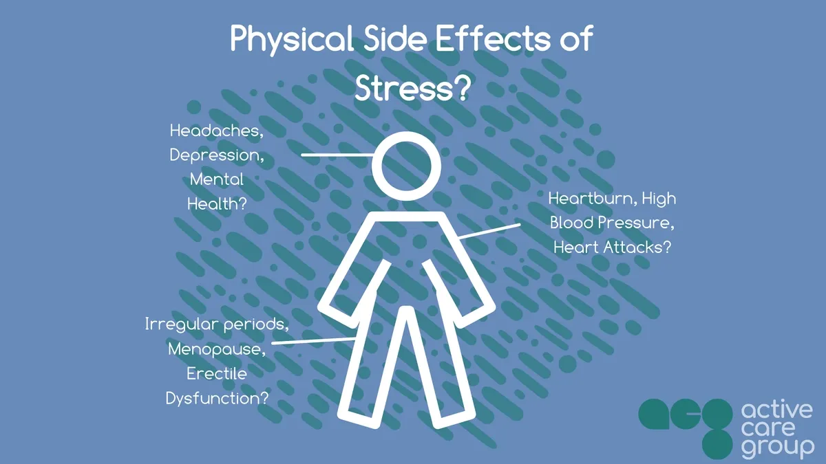 The Impact of Chronic Stress on Physical Health and Effective Stress Management Techniques